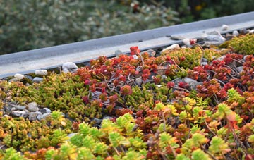the cost of Magheraveely green roof installation