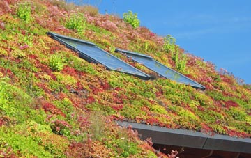 Magheraveely living roof systems