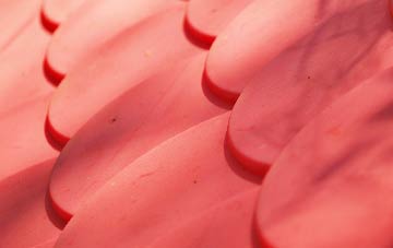 Magheraveely plastic roof costs